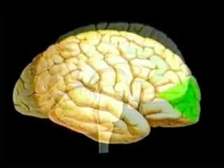 Frontal lobe seizures
