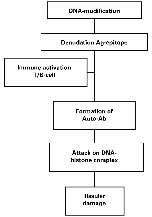 Pathophysiology Flow Chart