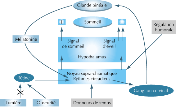 epub educational judgments