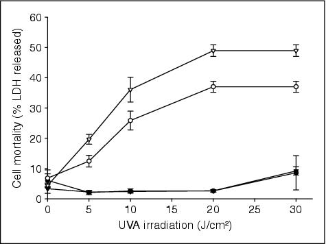 John Libbey Eurotext European Journal Of Dermatology Impacts Of Antibiotics On In Vitro Uva Susceptibility Of Human Skin Fibroblasts