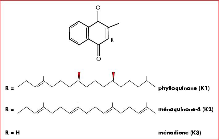 exemple de vitamine k