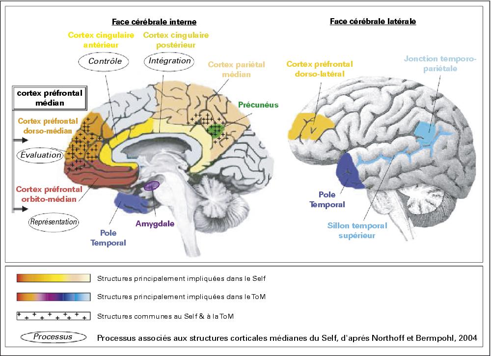 b07hyyggt1 les neurosciences cognitives dans la john libbey eurotext psychologie neuropsychiatrie du b07hyyggt1 les neurosciences cognitives dans la john libbey eurotext psychologie neuropsychiatrie du