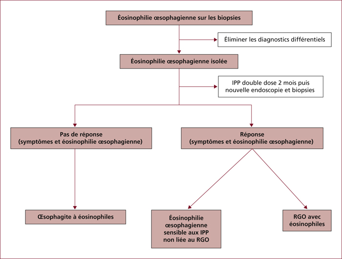 John Libbey Eurotext Hepato Gastro Oncologie Digestive Endoscopic Signs And Treatment Of Eosinophilic Esophagitis