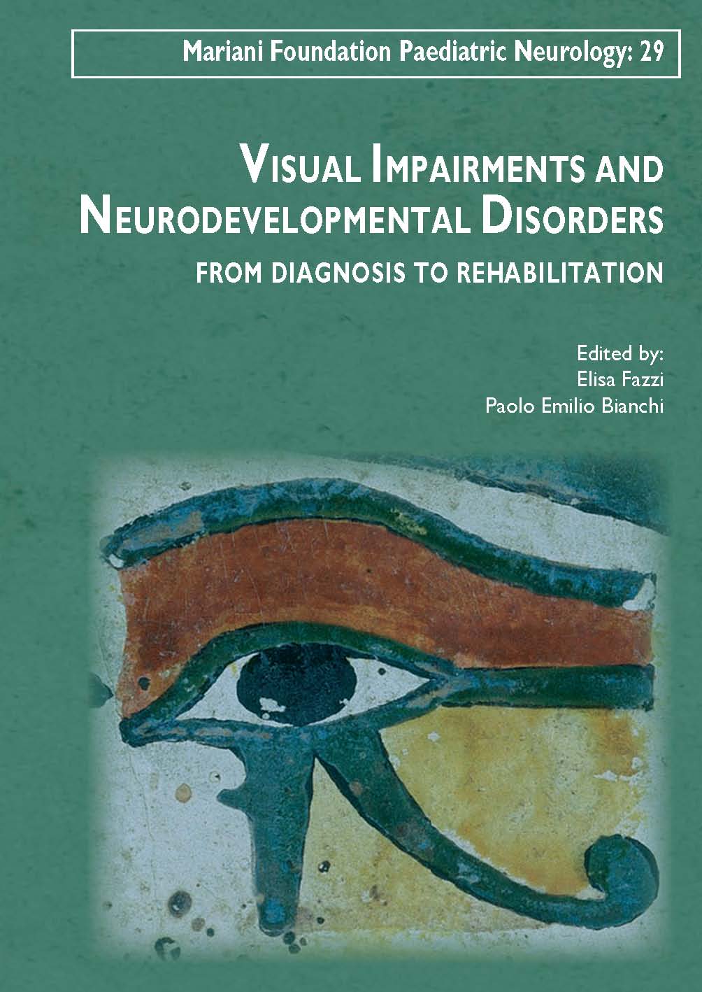 Visual impairments and neurodevelopmental disorders