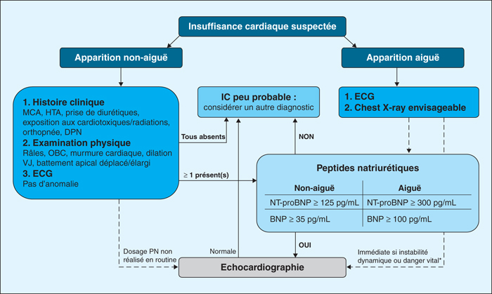 Will be andarine s4 Ligandrol A Steroid?