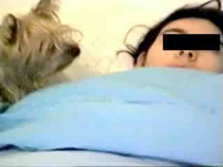 A seizure response dog: video recording of reacting behaviour during repetitive prolonged seizures