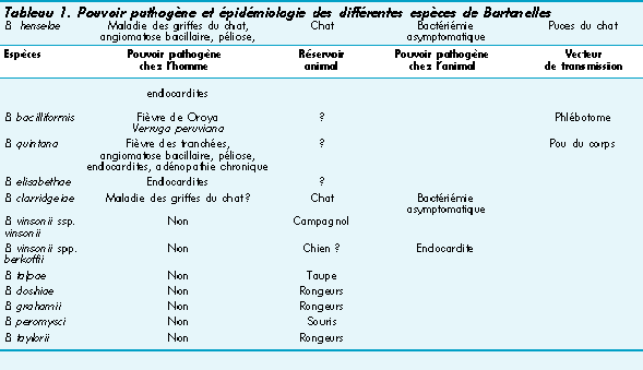 John Libbey Eurotext Medecine Therapeutique Maladie Des Griffes Du Chat Et Autres Infections A Bartonella Henselae En 1997