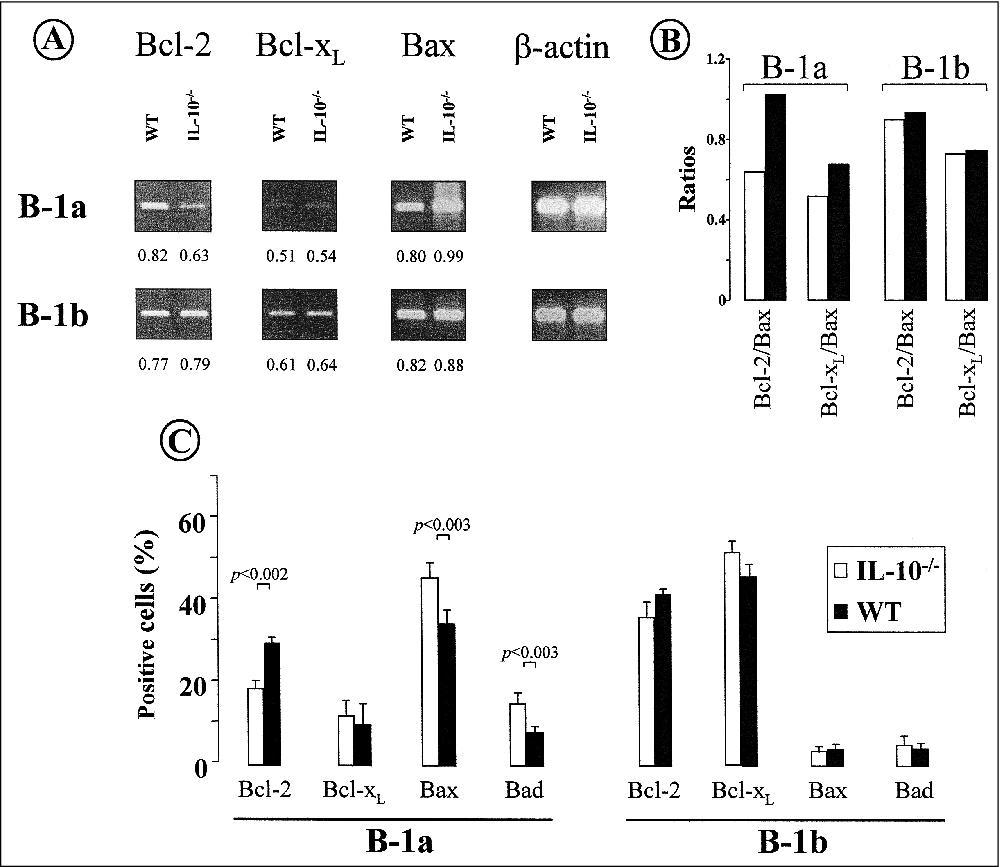 John Libbey Eurotext European Cytokine Network Role Of Il 10 In The Distribution Of B Cell Subsets In The Mouse B 1 Cell Population