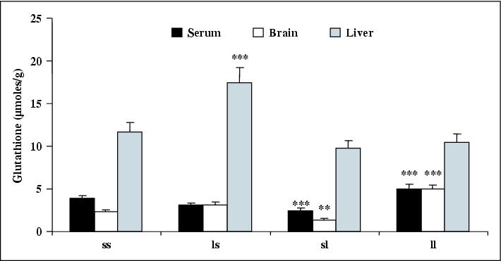 John Libbey Eurotext European Cytokine Network Role For Glutathione In The Hyposensitivity Of Lps Pretreated Mice To Lps Anorexia