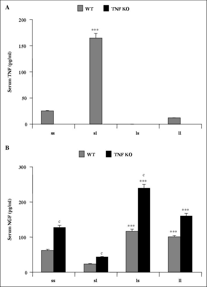 John Libbey Eurotext European Cytokine Network Role For Nerve Growth Factor In The In Vivo Regulation Of Glutathione In Response To Lps In Mice John Libbey Eurotext European Cytokine Network Role For Nerve Growth Factor In The In Vivo Regulation Of Glutathione In Response To Lps In Mice