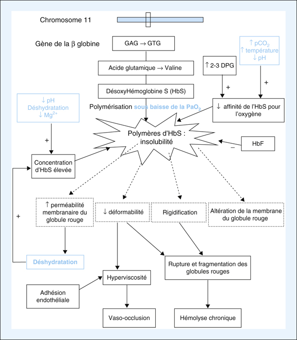 epub leistungsbeeinflussende faktoren im radar