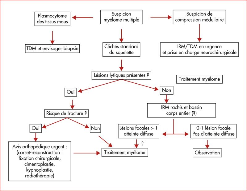 John Libbey Eurotext - Hématologie - Le myélome multiple de l’IMW à l ...