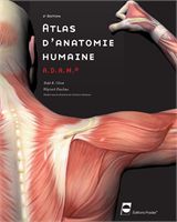 Présentation visuelle de l'anatomie humaine