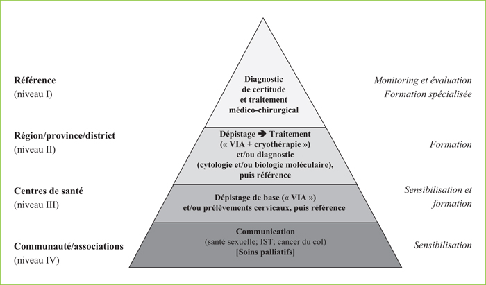 papillomavirus niveau 3