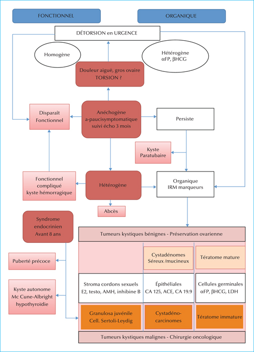John Libbey Eurotext Medecine Therapeutique Pediatrie Kystes De L Ovaire Chez L Enfant Et L Adolescente John Libbey Eurotext Medecine Therapeutique Pediatrie Kystes De L Ovaire Chez L Enfant Et L Adolescente