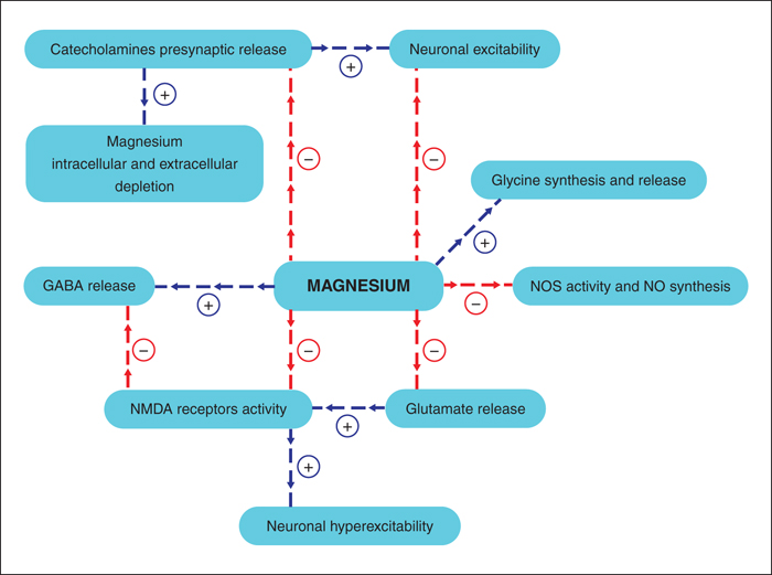 magnesium nmda