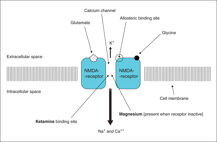 magnesium block nmda