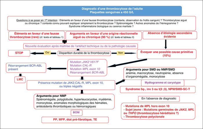 JLE - Annales de Biologie Clinique - Conduite à tenir devant une ...
