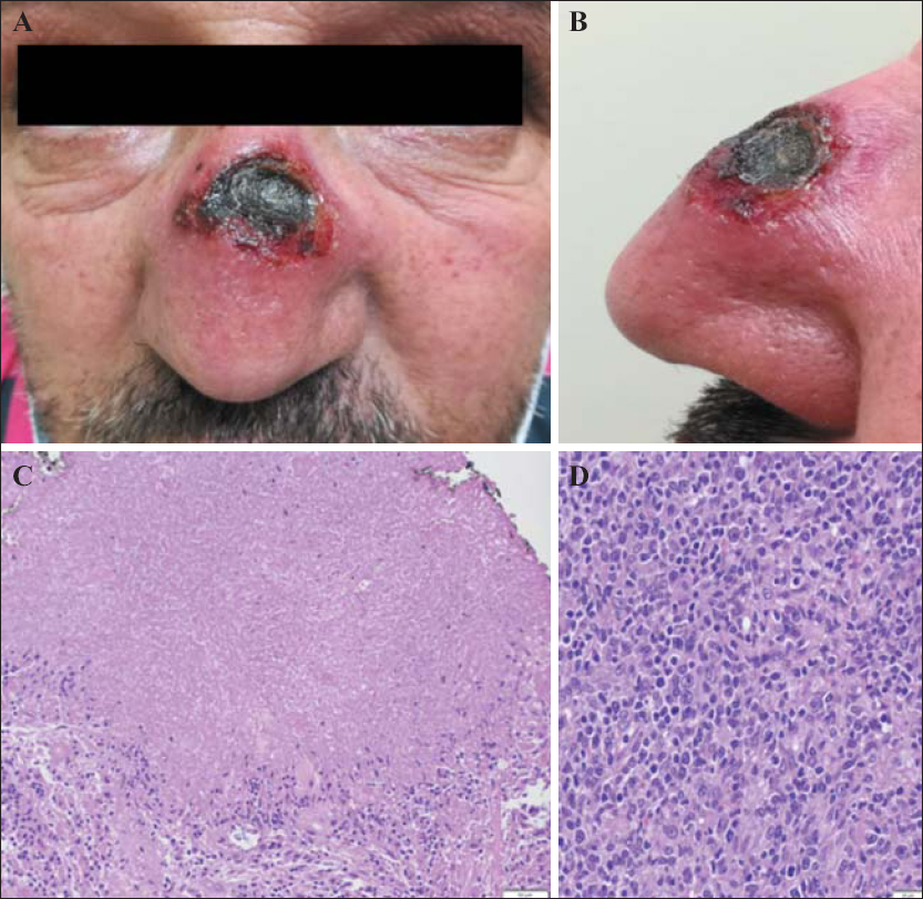 JLE European Journal Of Dermatology SQUIZ Your Knowledge A what-is-classed-as-a-medium-dog