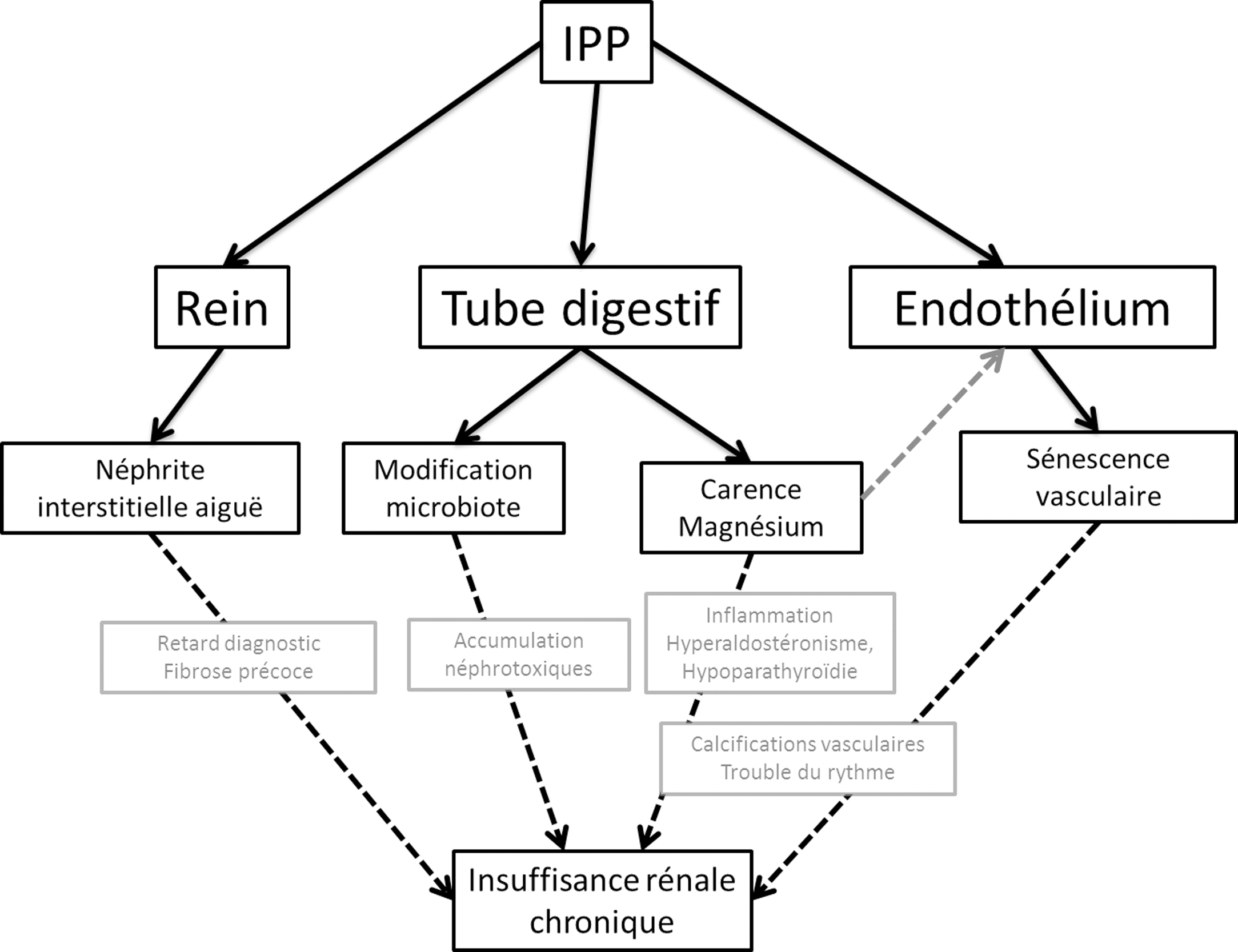 John Libbey Eurotext - Néphrologie & Thérapeutique - Inhibiteurs de la ...