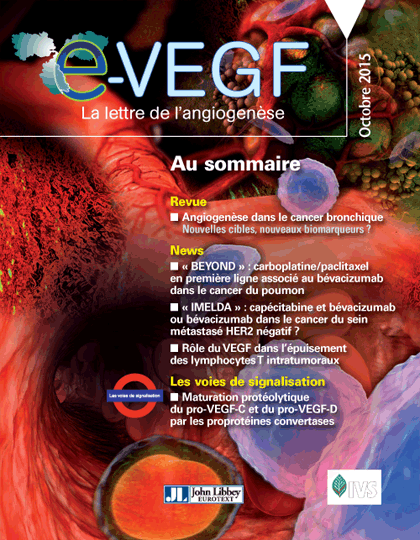 e-VEGF-IMMUNO-actu