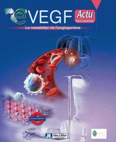 e-VEGF-IMMUNO-actu